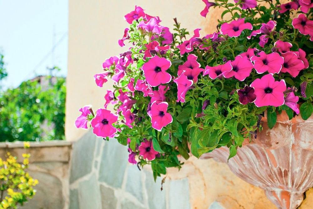 Thymis Home Skiathos Town Bagian luar foto