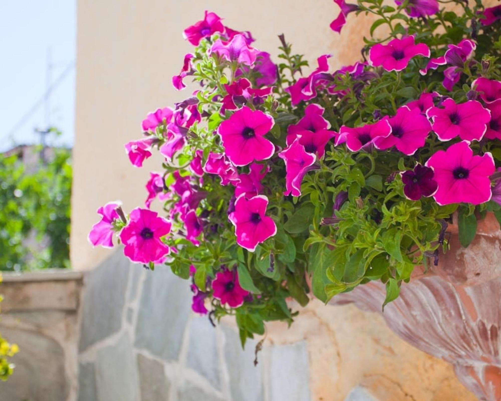 Thymis Home Skiathos Town Bagian luar foto